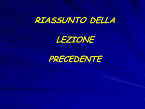 Sistema nervoso 2 File - e-Learning
