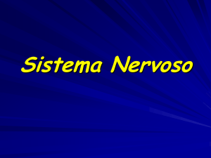 Diapositiva 1 - e-Learning