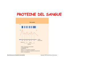 proteine del sangue