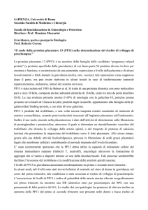 La proteina placentare 13 (PP13)