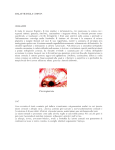 MALATTIE DELLA CORNEA CHERATITI Si tratta di processi