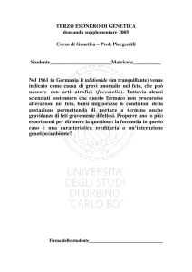 visualizza