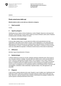 Informazioni tecniche: Peste americana delle api