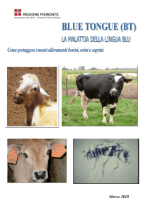 Opuscolo per gli allevatori aggiornato a marzo 2010