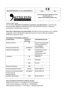 Dichiarazione CE