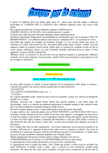 camper per la scienza 1^C - "Ilaria Alpi"