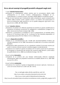 Ecco alcuni esempi di progetti/prodotti sviluppati negli anni: