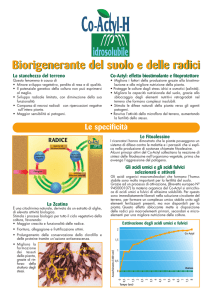 Biorigenerante del suolo e delle radici Biorigenerante del suolo e