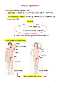 Apparato riproduttore