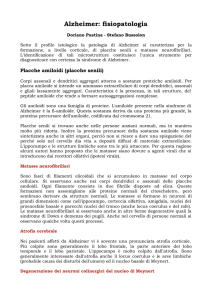 Alzheimer: fisiopatologia