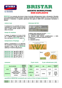 Tecnica - Zeni Bulloneria Srl