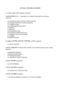 le malattie degli equini