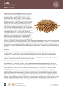 Scarica la scheda tecnica in PDF