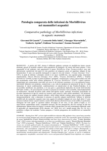“PATOLOGIA COMPARATA DELLE INFEZIONI DA MORBILLIVIRUS