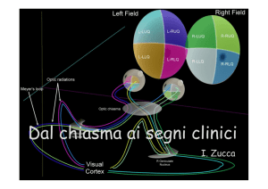 Dal chiasma ai segni clinici