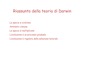 meccanismi dell`evoluzione 1