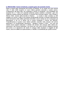 6. ONCOLOGIA: Tumori al testicolo, scoperto gene che aumenta