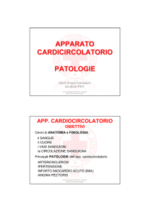 Apparato cardiocircolatorio