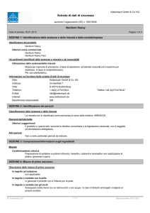 Scheda di dati di sicurezza