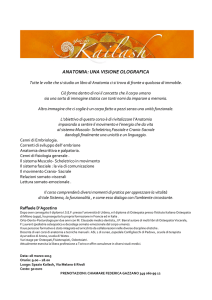 anatomia olografica esperenziale.