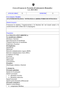 Programma