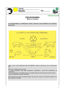 PSEUDORABBIA Sanità Malattie 4.4
