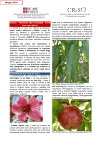 Scheda descrittiva - CresoRicerca (pdf - 609 KB)