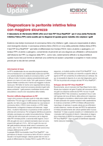 Update - IDEXX Italia