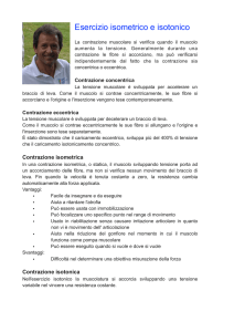 Eserczi isometrici e isotonici