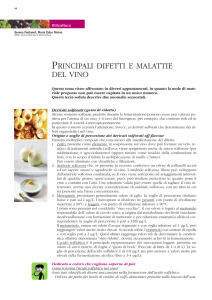 principali difetti e malattie del vino
