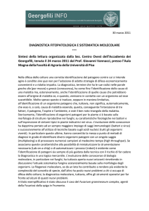 DIAGNOSTICA FITOPATOLOGICA E SISTEMATICA MOLECOLARE