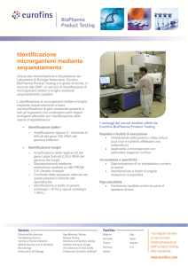 Identificazione microorganismi (batteri, lieviti e muffe)