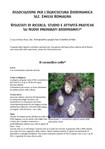 Nuovi preparati - fondazione le madri