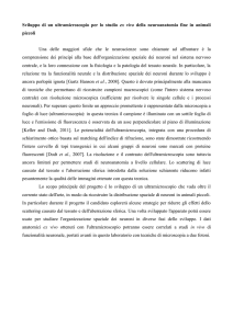 Sviluppo di un ultramicroscopio per lo studio ex vivo della