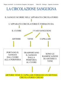 mappe concettuali circolazione Arianna dragani