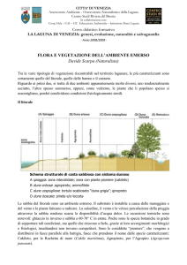Flora e vegetazione dell`ambiente emerso