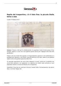 Rapita dal trasportino, c`è il lieto fine: la piccola Stella torna a casa