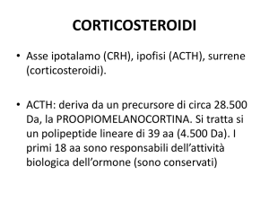 corticosteroidi - Progetto e