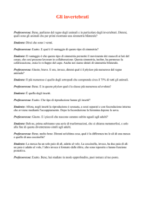 Gli invertebrati - begnonsoloviaggi.com