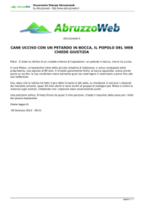 cane ucciso con un petardo in bocca, il popolo del