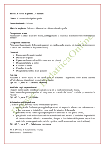 Titolo: A caccia di piante… e numeri Classe: 1^ secondaria di primo
