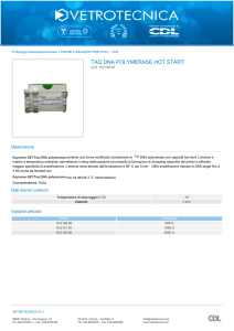Stampa PDF - Vetrotecnica