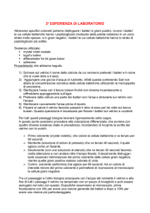 Scarica - ISIS `R. Del Rosso