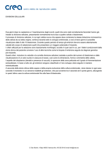 DIVISIONI CELLULARI Due giorni dopo la