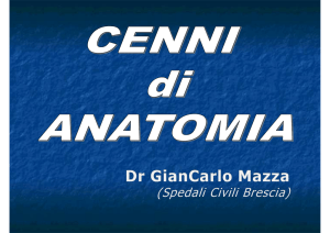 La pressione Arteriosa