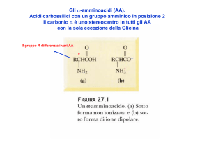amminoacidi -particolare -densità