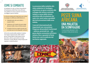 peste suina africana - Istituto Zooprofilattico Sperimentale della