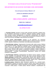 matricole dispari