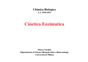 Cinetica enzimatica
