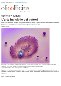 L`arte invisibile dei batteri